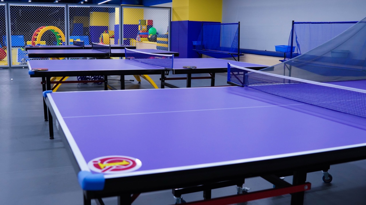 少儿乒乓球 基础蓄力课程(图1)